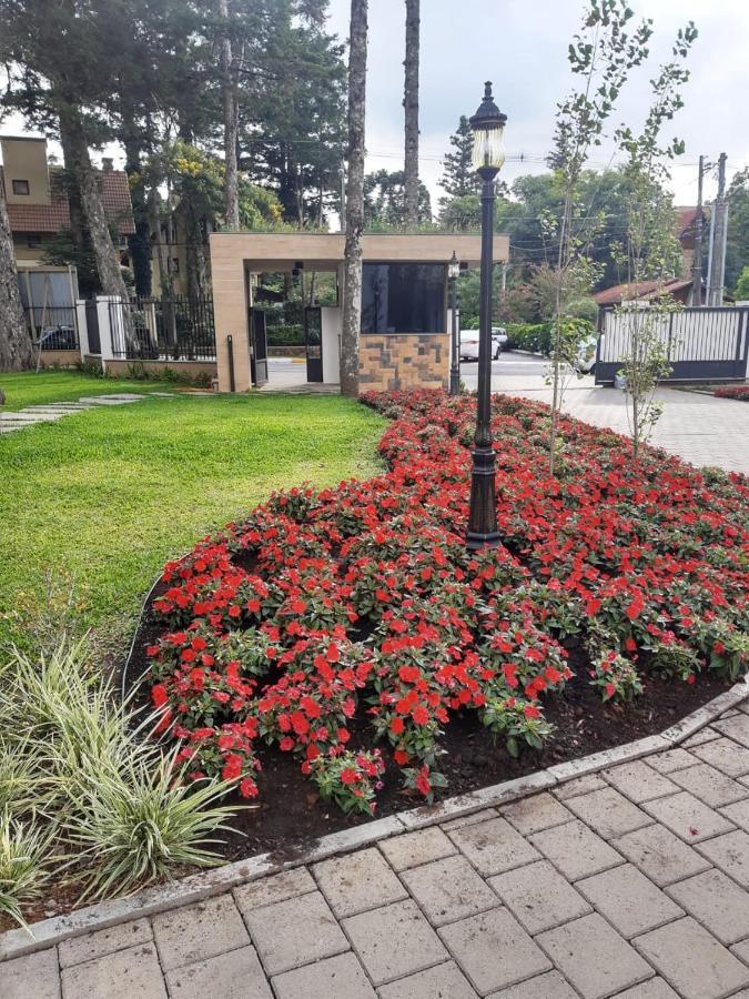غرامادو Morada Herz 316 المظهر الخارجي الصورة